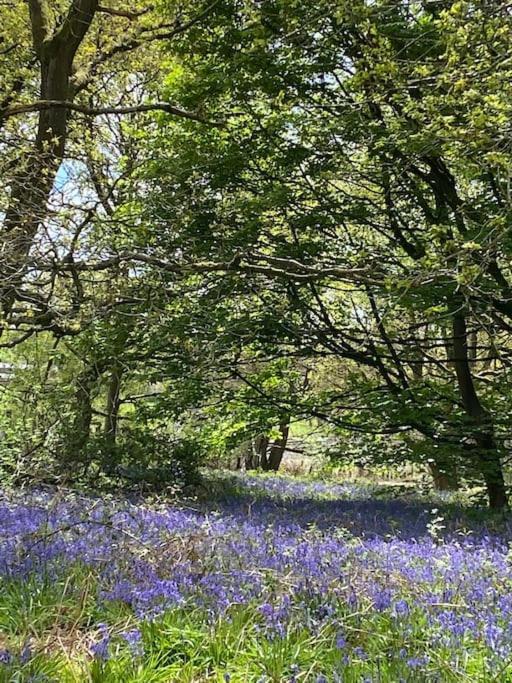 South Cottage - Garden, Views, Parking, Dogs, Cheshire, Walks, Family Adlington Екстериор снимка